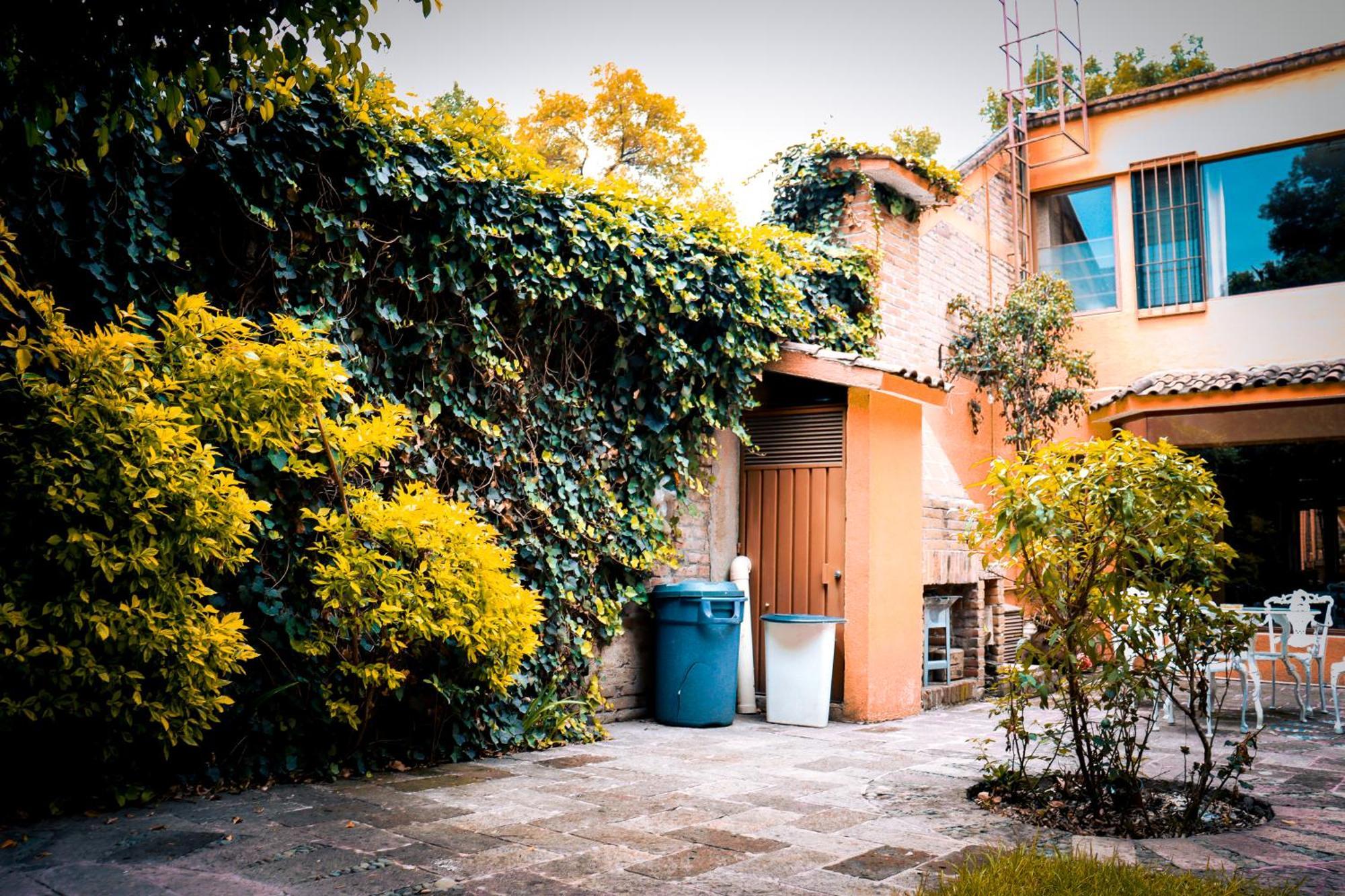 Suites Cuija Coyoacan Мехико Экстерьер фото